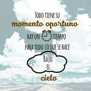 Meet your Posher, Sindy